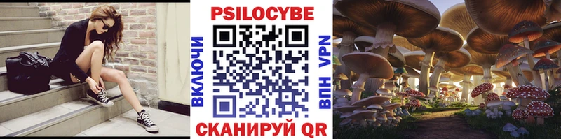 Псилоцибиновые грибы Magic Shrooms  блэк спрут вход  Коломна 