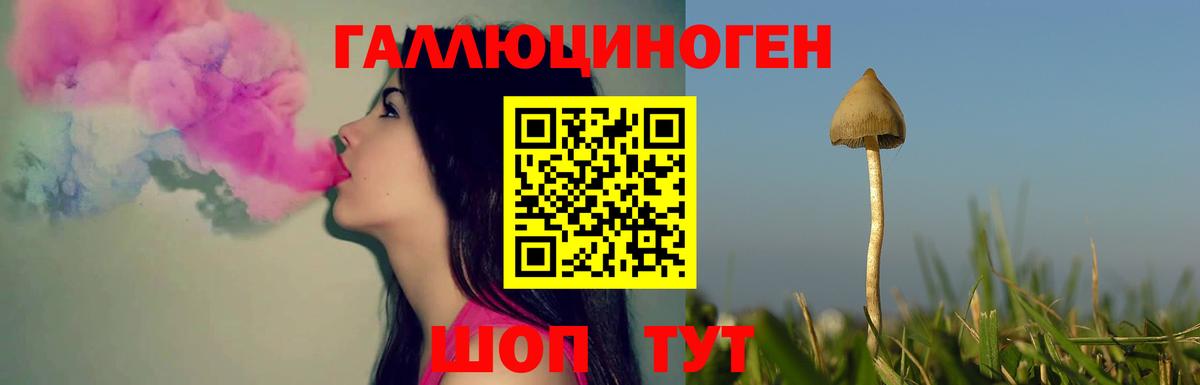 Коломна  хочу   Вход с VPN  Галлюциногенные грибы мицелий 
